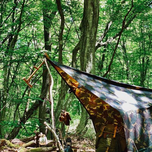 Bâche en toile cirée Prepper Camo montée entre les arbres dans une forêt verdoyante