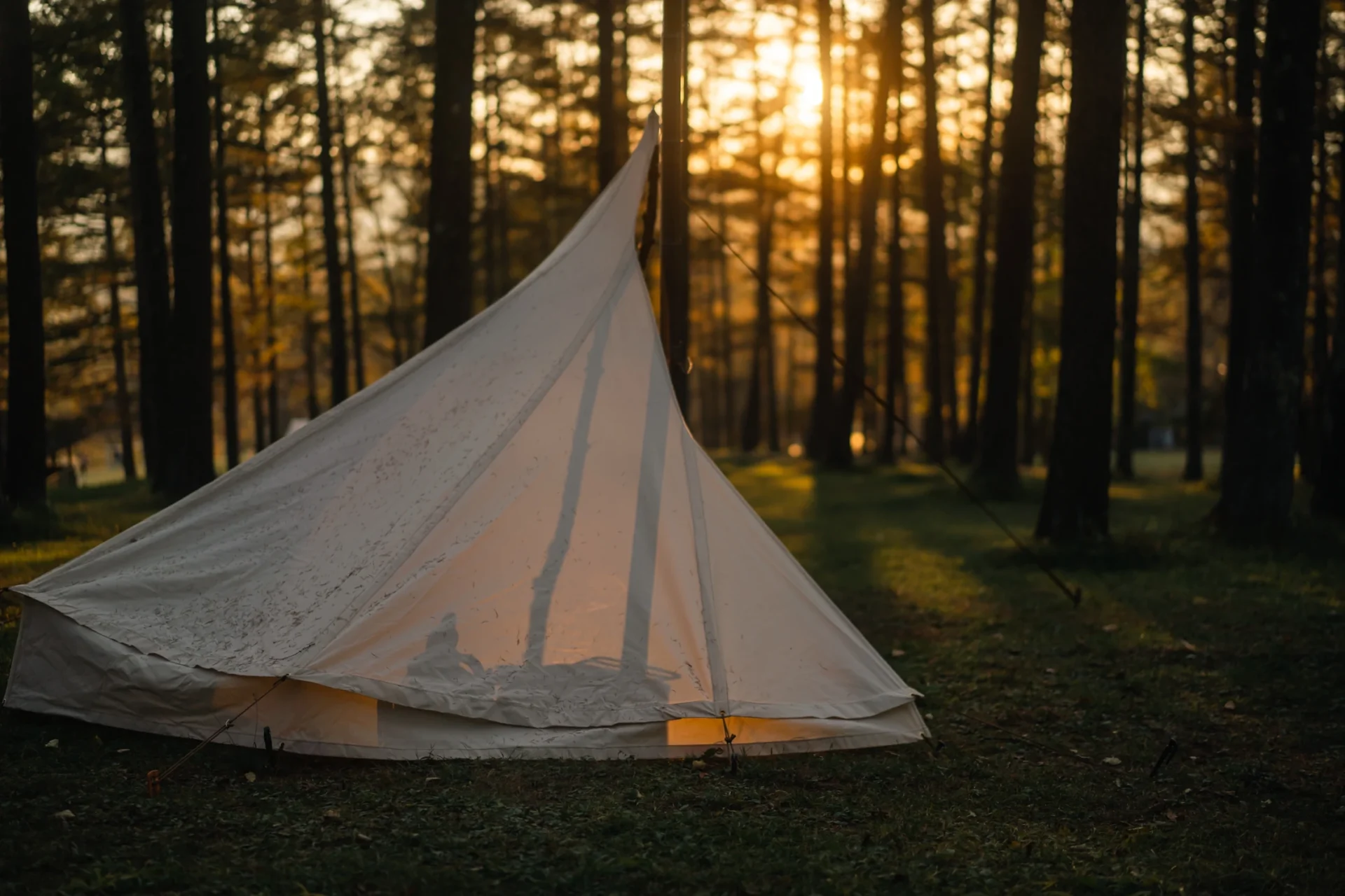 Canvas shelter in warm evening light